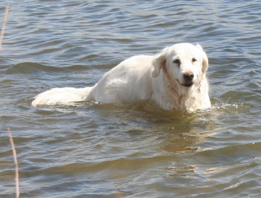 London 14 years old