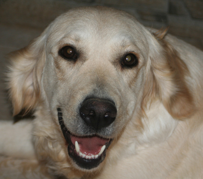 Dagny